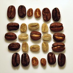 bean design