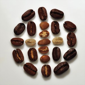 bean design